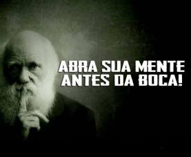 263297_654606804555909_926120129_n